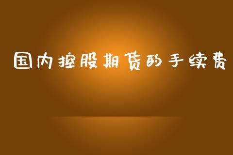 国内控股期货的手续费_https://www.yunyouns.com_股指期货_第1张