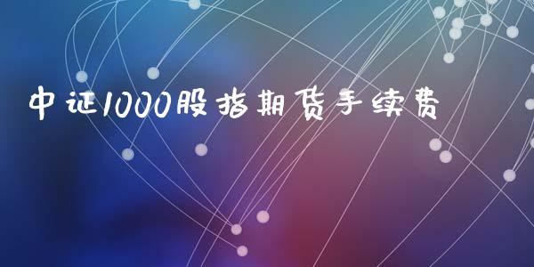 中证1000股指期货手续费_https://www.yunyouns.com_股指期货_第1张