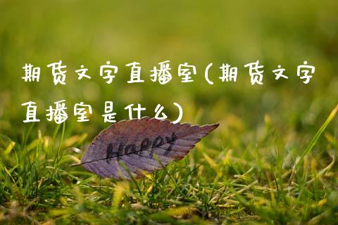 期货文字直播室(期货文字直播室是什么)_https://www.yunyouns.com_股指期货_第1张