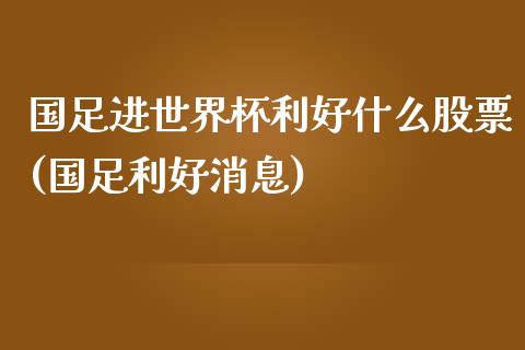 国足进世界杯利好什么股票(国足利好消息)_https://www.yunyouns.com_期货行情_第1张