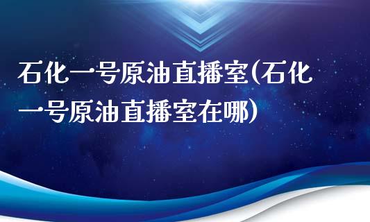 石化一号原油直播室(石化一号原油直播室在哪)_https://www.yunyouns.com_股指期货_第1张