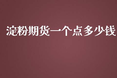 淀粉期货一个点多少钱_https://www.yunyouns.com_期货行情_第1张