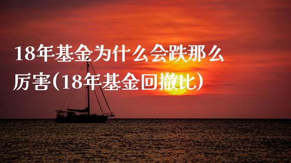 18年基金为什么会跌那么厉害(18年基金回撤比)_https://www.yunyouns.com_期货直播_第1张