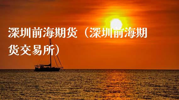 深圳前海期货（深圳前海期货交易所）_https://www.yunyouns.com_期货行情_第1张