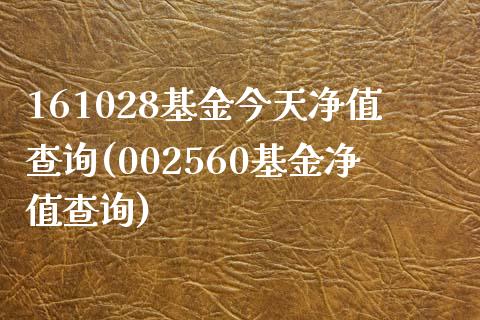 161028基金今天净值查询(002560基金净值查询)_https://www.yunyouns.com_期货行情_第1张