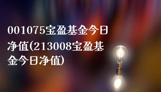 001075宝盈基金今日净值(213008宝盈基金今日净值)_https://www.yunyouns.com_股指期货_第1张