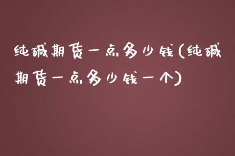 纯碱期货一点多少钱(纯碱期货一点多少钱一个)_https://www.yunyouns.com_恒生指数_第1张