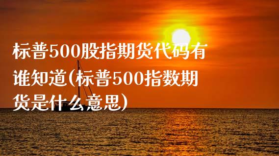 标普500股指期货代码有谁知道(标普500指数期货是什么意思)_https://www.yunyouns.com_期货行情_第1张