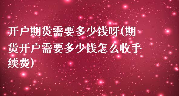 开户期货需要多少钱呀(期货开户需要多少钱怎么收手续费)_https://www.yunyouns.com_恒生指数_第1张