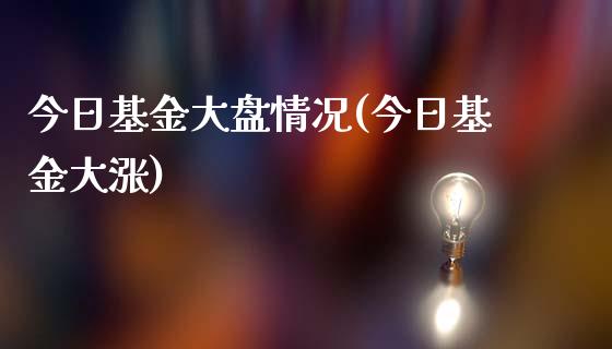 今日基金大盘情况(今日基金大涨)_https://www.yunyouns.com_期货直播_第1张