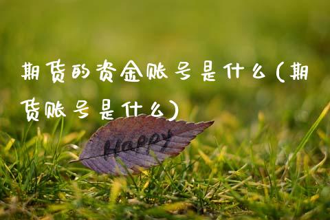 期货的资金账号是什么(期货账号是什么)_https://www.yunyouns.com_期货行情_第1张