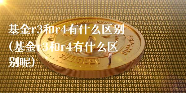 基金r3和r4有什么区别(基金r3和r4有什么区别呢)_https://www.yunyouns.com_股指期货_第1张