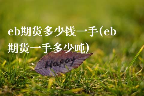 eb期货多少钱一手(eb期货一手多少吨)_https://www.yunyouns.com_股指期货_第1张