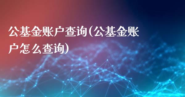 公基金账户查询(公基金账户怎么查询)_https://www.yunyouns.com_期货行情_第1张