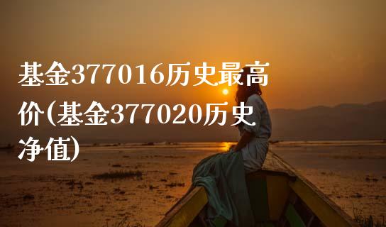 基金377016历史最高价(基金377020历史净值)_https://www.yunyouns.com_期货直播_第1张