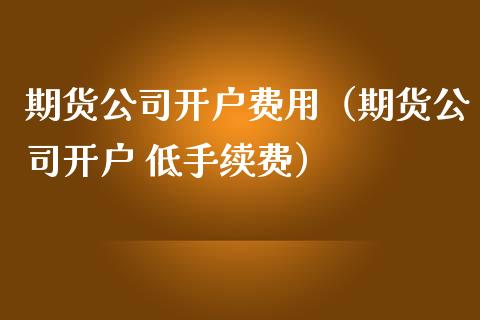 期货公司开户费用（期货公司开户 低手续费）_https://www.yunyouns.com_期货行情_第1张