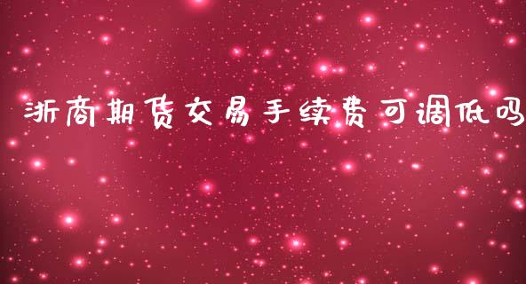 浙商期货交易手续费可调低吗_https://www.yunyouns.com_期货直播_第1张