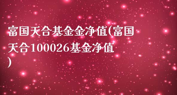 富国天合基金金净值(富国天合100026基金净值)_https://www.yunyouns.com_期货行情_第1张