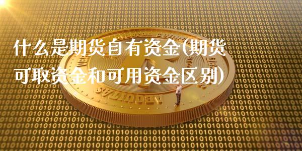 什么是期货自有资金(期货可取资金和可用资金区别)_https://www.yunyouns.com_股指期货_第1张