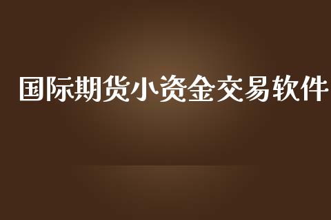 国际期货小资金交易软件_https://www.yunyouns.com_股指期货_第1张