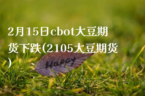 2月15日cbot大豆期货下跌(2105大豆期货)_https://www.yunyouns.com_期货直播_第1张