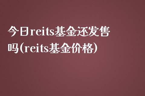 今日reits基金还发售吗(reits基金价格)_https://www.yunyouns.com_恒生指数_第1张