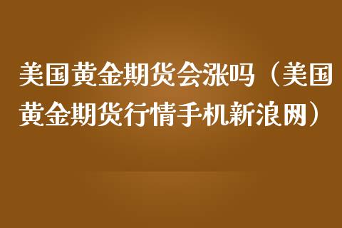 美国黄金期货会涨吗（美国黄金期货行情手机新浪网）_https://www.yunyouns.com_恒生指数_第1张