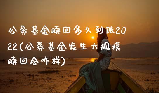 公募基金赎回多久到账2022(公募基金发生大规模赎回会咋样)_https://www.yunyouns.com_股指期货_第1张