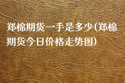 郑棉期货一手是多少(郑棉期货今日价格走势图)_https://www.yunyouns.com_恒生指数_第1张