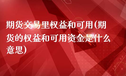 期货交易里权益和可用(期货的权益和可用资金是什么意思)_https://www.yunyouns.com_恒生指数_第1张