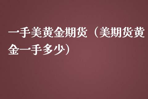 一手美黄金期货（美期货黄金一手多少）_https://www.yunyouns.com_期货行情_第1张