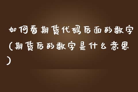 如何看期货代码后面的数字(期货后的数字是什么意思)_https://www.yunyouns.com_恒生指数_第1张