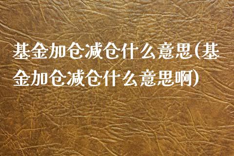 基金加仓减仓什么意思(基金加仓减仓什么意思啊)_https://www.yunyouns.com_股指期货_第1张