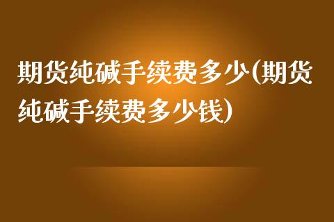 期货纯碱手续费多少(期货纯碱手续费多少钱)_https://www.yunyouns.com_期货行情_第1张