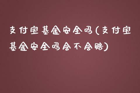 支付宝基金安全吗(支付宝基金安全吗会不会赔)_https://www.yunyouns.com_股指期货_第1张