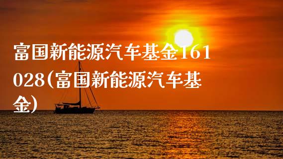 富国新能源汽车基金161028(富国新能源汽车基金)_https://www.yunyouns.com_期货行情_第1张