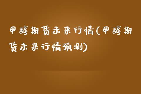 甲醇期货未来行情(甲醇期货未来行情预测)_https://www.yunyouns.com_期货直播_第1张