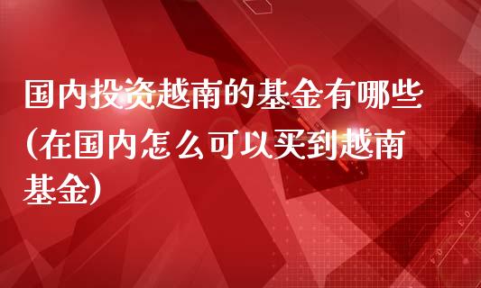 国内投资越南的基金有哪些(在国内怎么可以买到越南基金)_https://www.yunyouns.com_期货行情_第1张