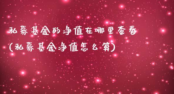 私募基金的净值在哪里查看(私募基金净值怎么算)_https://www.yunyouns.com_股指期货_第1张