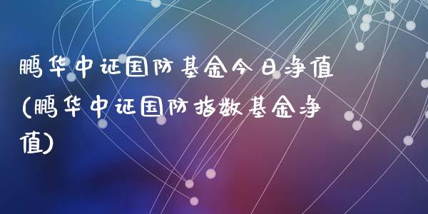 鹏华中证国防基金今日净值(鹏华中证国防指数基金净值)_https://www.yunyouns.com_股指期货_第1张