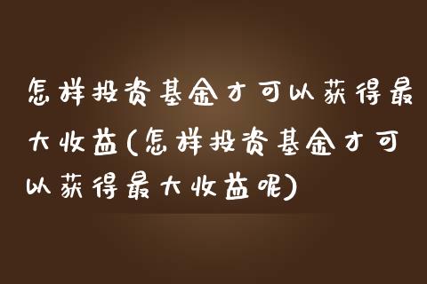 怎样投资基金才可以获得最大收益(怎样投资基金才可以获得最大收益呢)_https://www.yunyouns.com_期货行情_第1张