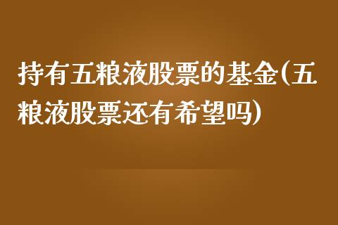 持有五粮液股票的基金(五粮液股票还有希望吗)_https://www.yunyouns.com_股指期货_第1张