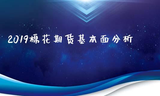 2019棉花期货基本面分析_https://www.yunyouns.com_期货直播_第1张