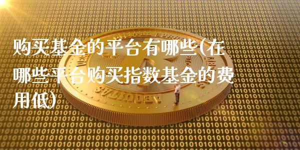 购买基金的平台有哪些(在哪些平台购买指数基金的费用低)_https://www.yunyouns.com_股指期货_第1张