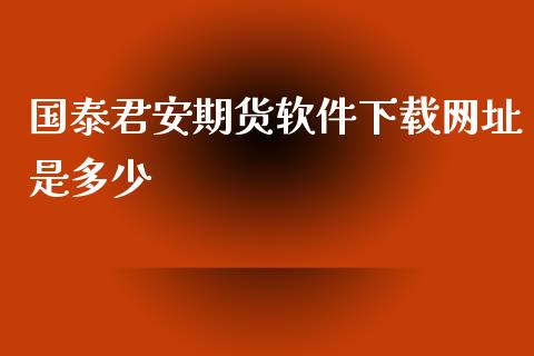 期货软件下载网址是多少_https://www.yunyouns.com_期货直播_第1张