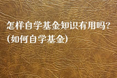 怎样自学基金知识有用吗?(如何自学基金)_https://www.yunyouns.com_股指期货_第1张