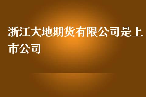 浙江大地期货有限公司是上市公司_https://www.yunyouns.com_股指期货_第1张