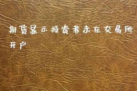 期货显示投资者未在交易所开户_https://www.yunyouns.com_期货直播_第1张