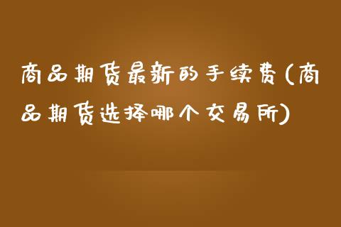 商品期货最新的手续费(商品期货选择哪个交易所)_https://www.yunyouns.com_恒生指数_第1张