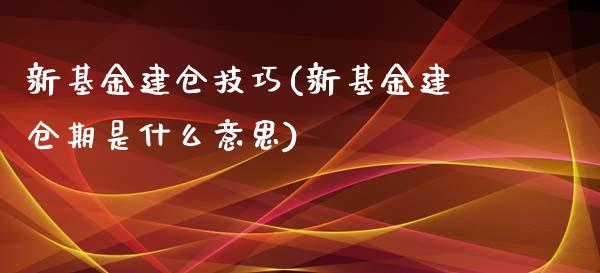 新基金建仓技巧(新基金建仓期是什么意思)_https://www.yunyouns.com_恒生指数_第1张